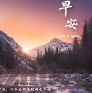 波兰世界杯赢了么-波兰队在世界杯的征程